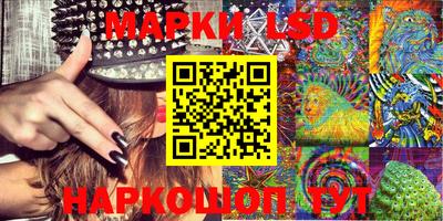 крисы Можга