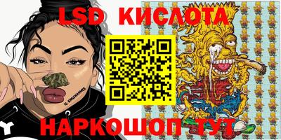 крисы Можга