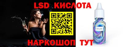 крисы Можга