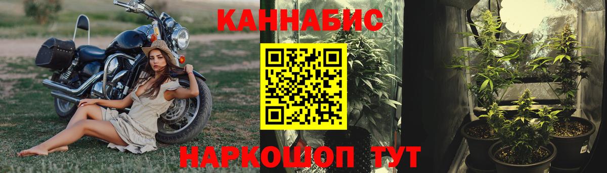 МАРИХУАНА OG Kush Россошь